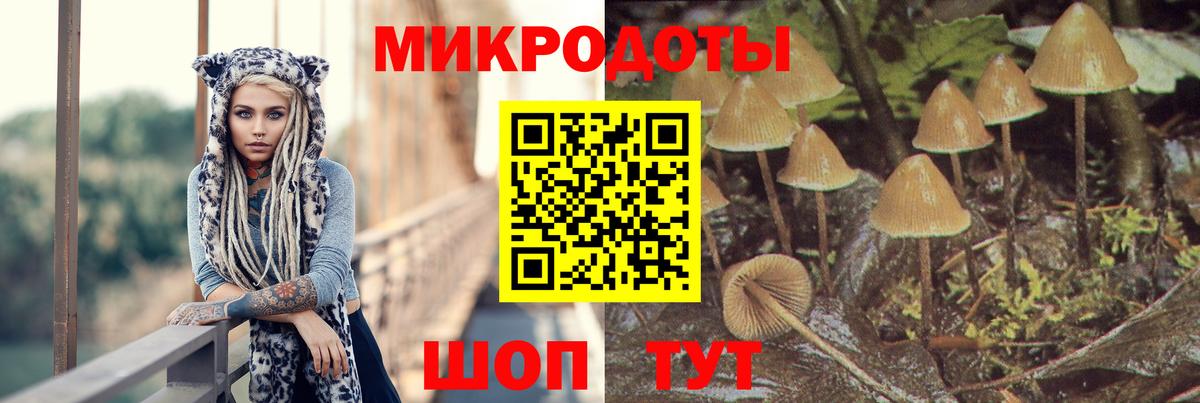 Псилоцибиновые грибы GOLDEN TEACHER  Вход с VPN  Нерюнгри  Псилоцибиновые грибы MAGIC MUSHROOMS 